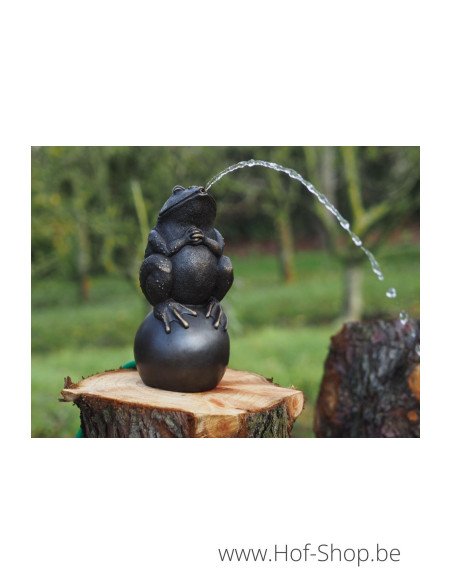 Kikker op bal - bronzen beeld (AN0926BR-B-F)
