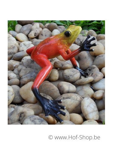 Grenouille de la forêt tropicale (rouge) - statue en bronze (AN0983BR-C)