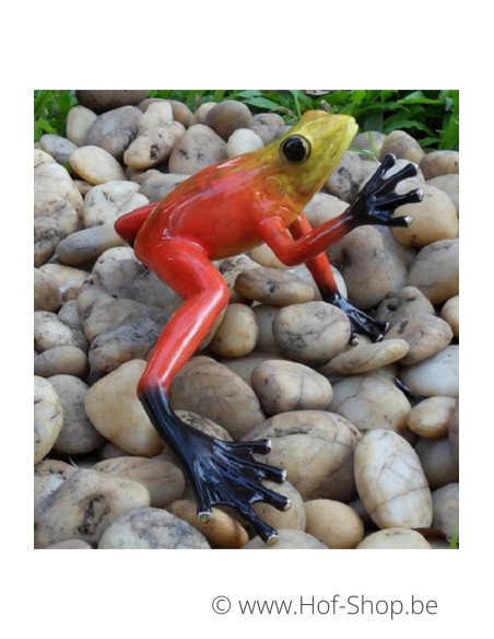 Grenouille de la forêt tropicale (rouge) - statue en bronze (AN0983BR-C)