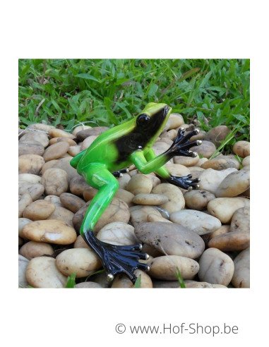 Grenouille de la forêt tropicale (vert) - statue en bronze (AN0985BR-C)