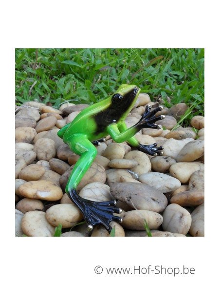 Grenouille de la forêt tropicale (vert) - statue en bronze (AN0985BR-C)