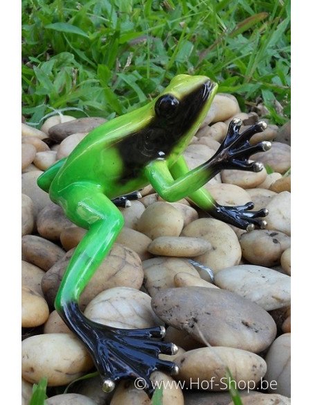 Grenouille de la forêt tropicale (vert) - statue en bronze (AN0985BR-C)