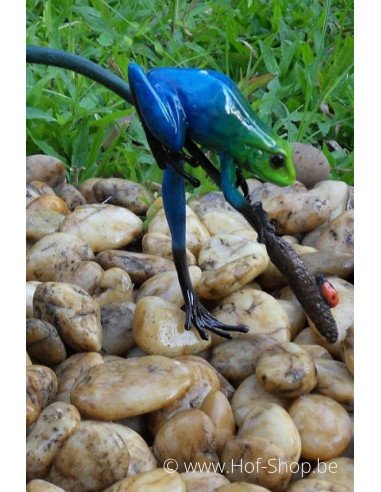 Grenouille colorée sur une brindille - statue en bronze (AN0986BR-C)