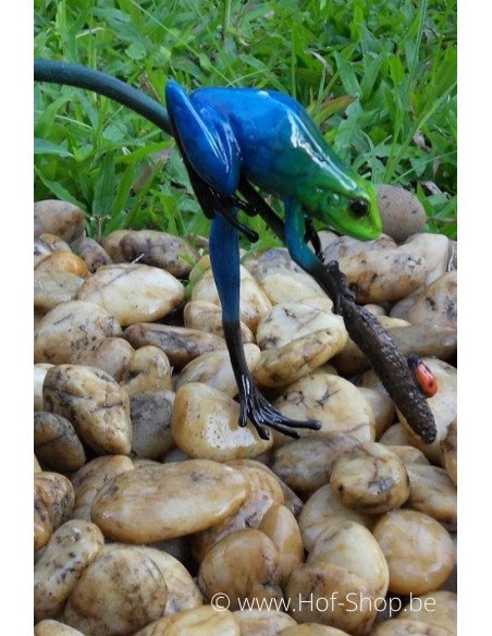 Grenouille colorée sur une brindille - statue en bronze (AN0986BR-C)