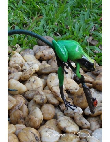 Gekleurde kikker aan twijg (groen) - bronzen beeld (AN0988BR-C)