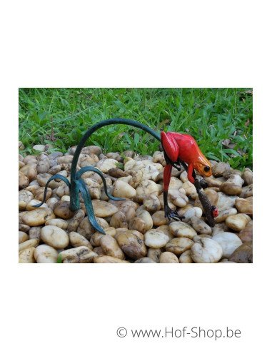 Grenouille colorée sur une brindille (rouge) - statue en bronze (AN0989BR-C)