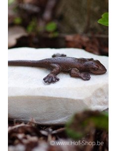 Lézard sur pierre - statue en bronze (AN1059BR-B)