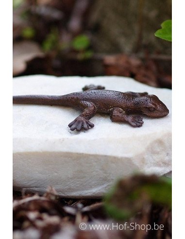 Lézard sur pierre - statue en bronze (AN1059BR-B)