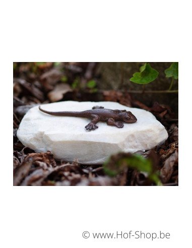 Lézard sur pierre - statue en bronze (AN1059BR-B)