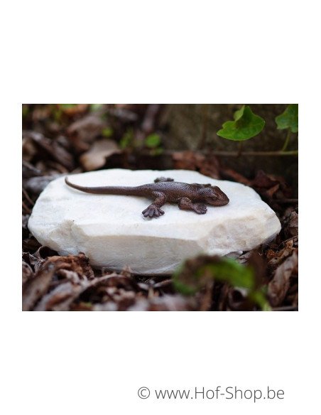 Lézard sur pierre - statue en bronze (AN1059BR-B)