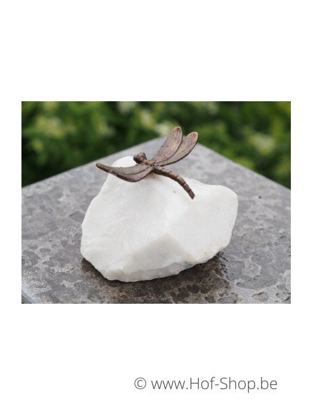 Petite libellule - statue en bronze (AN1061BR-B)