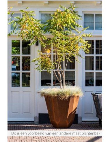 Facet 80 x 80 cm - Jardinière en acier Corten