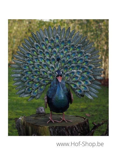 Paon Avec La Queue Ouverte - figurine en métal (MD18220)