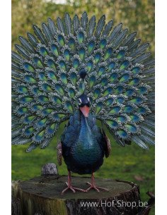 Paon Avec La Queue Ouverte - figurine en métal (MD18220)