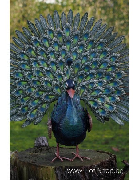 Paon Avec La Queue Ouverte - figurine en métal (MD18220)