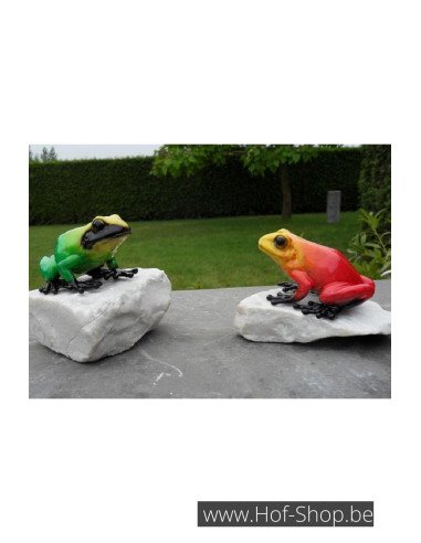 Kikker op rots (rood) - bronzen beeld (AN1071BR-C)