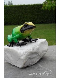 Kikker op rots (groen) - bronzen beeld (AN1071BR-C)