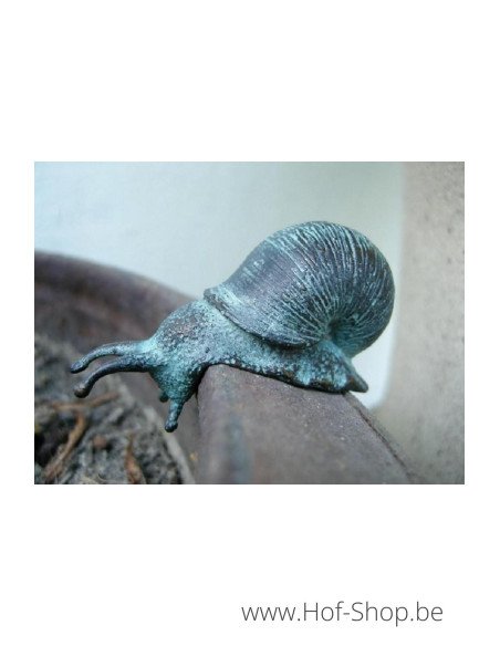 Petit Escargot - statue en bronze (AN1086BR-V)