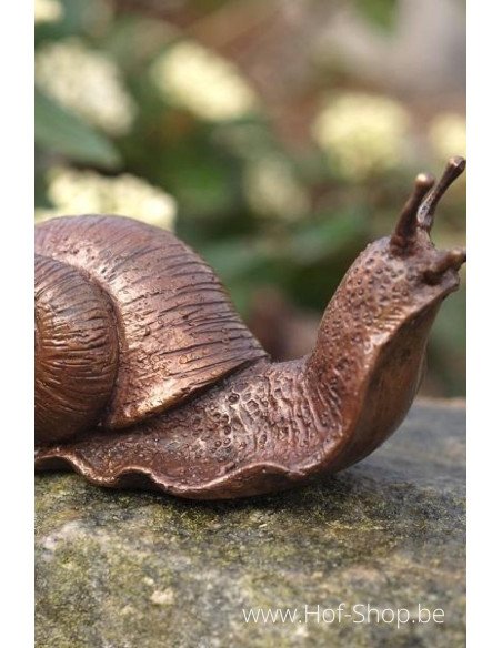 Kleine Slak - bronzen beeld (AN1127BR-B)