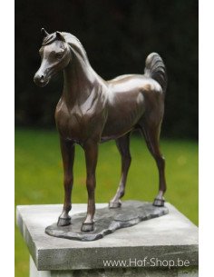 Arabisch paard - bronzen beeld (AN1135BR-B)