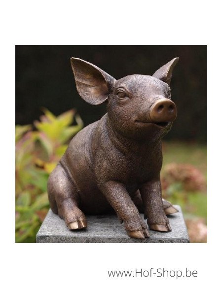 Cochon assis - statue en bronze (AN1136BR-B)