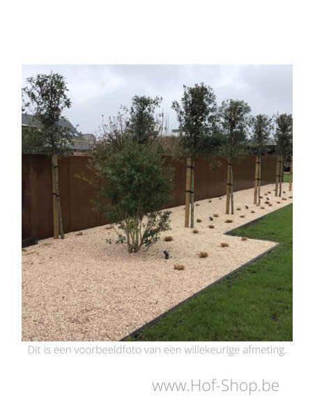 Gerofence vol paneel 50 x 5 x 200 cm - Schutting Geroba in cortenstaal