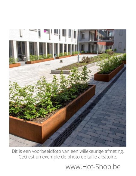 Carrez sans fond 200 x 200 x 40 cm - Jardinière Adezz en acier Corten