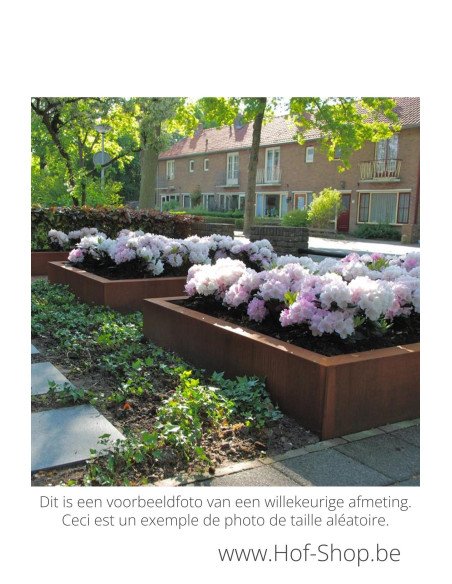 Carrez sans fond 100 x 100 x 40 cm - Jardinière Adezz en acier Corten