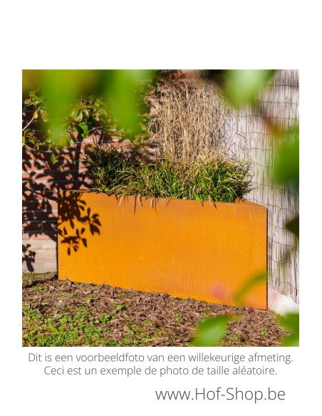 Triangle 60 x 60 x 60 cm - Adezz Plantenbak in cortenstaal