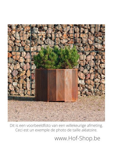 Boxer 80 x 60 cm - Jardinière Adezz en acier Corten