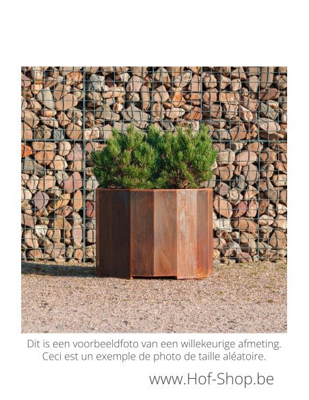 Boxer 80 x 60 cm - Jardinière Adezz en acier Corten