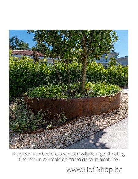 Ellipse sans fond 200 x 120 x 40 cm - Jardinière Adezz en acier corten