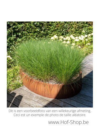 Ellipse sans fond 200 x 120 x 40 cm - Jardinière Adezz en acier corten