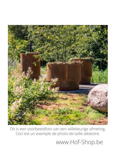 Extend 70 x 110 cm - Jardinière Adezz en acier Corten