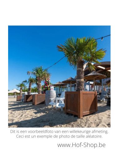 York 80 x 80 x 80 cm - Jardinière Adezz en acier Corten