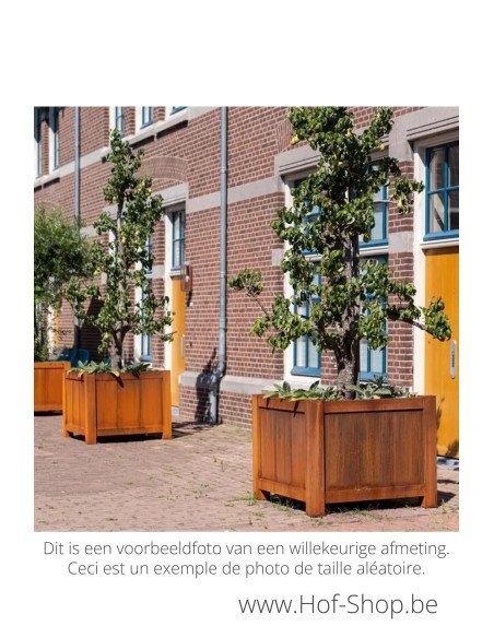 York 80 x 80 x 80 cm - Jardinière Adezz en acier Corten