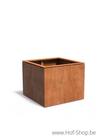 Domus 100 x 100 x 80 cm - Jardinière Adezz en acier Corten
