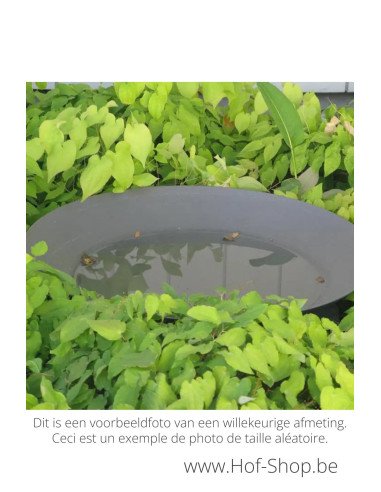 Waterschaal 60 x 14 cm - Adezz waterelement gecoat staal