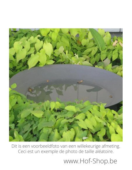 Waterschaal 60 x 14 cm - Adezz waterelement gecoat staal