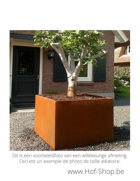 Carrez 300 x 50 x 50 cm - Jardinière Adezz en acier Corten