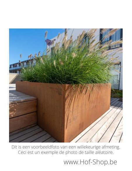 Carrez 300 x 50 x 50 cm - Jardinière Adezz en acier Corten