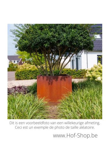 Carrez 300 x 40 x 80 cm - Jardinière Adezz en acier Corten