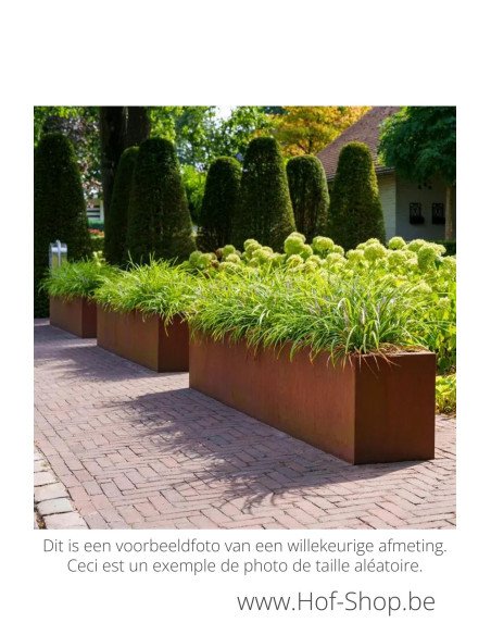 Carrez 300 x 40 x 80 cm - Jardinière Adezz en acier Corten