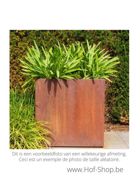 Carrez 300 x 40 x 40 cm - Jardinière Adezz en acier Corten