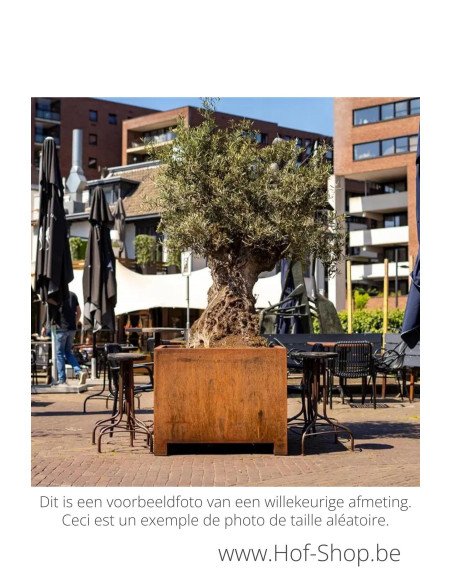 Carrez avec pieds 150 x 40 x 80 cm - Jardinière Adezz en acier Corten