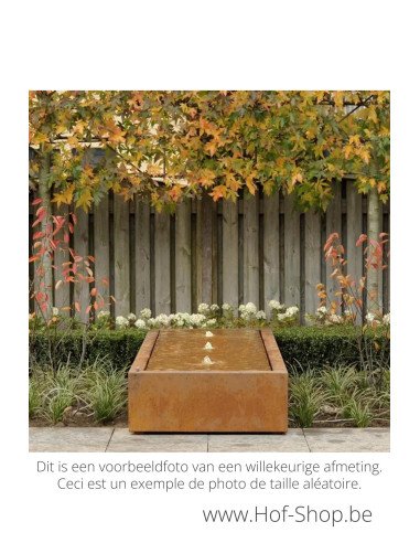 Watertafel 200 x 80 x 40 cm - Watertafel Adezz cortenstaal