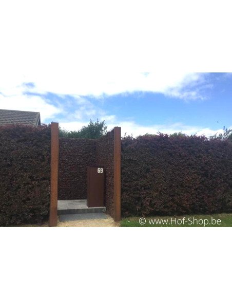 Dropbox Small Aspect acier Corten Back Door - eSafe boîte à colis aluminium