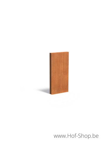 Mur 100 x 15 x 200 cm - Mur Adezz en acier corten