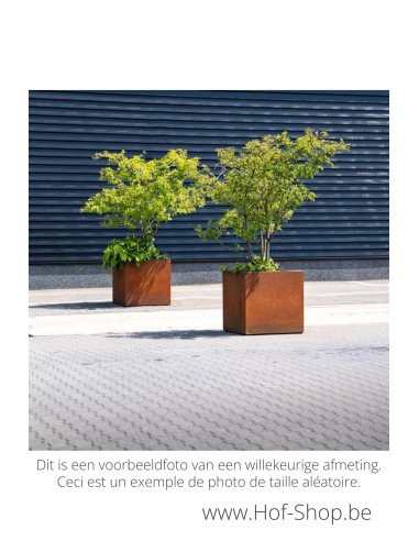 Carrez sur roulettes 100 x 100 x 60 cm - Jardinière Adezz en acier Corten