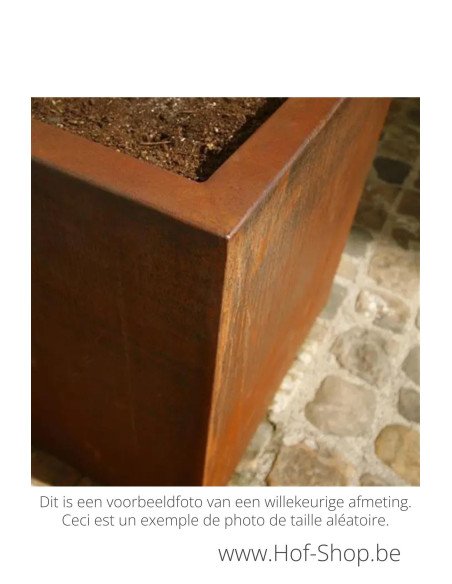 Carrez sur roulettes 80 x 80 x 40 cm - Jardinière Adezz en acier Corten